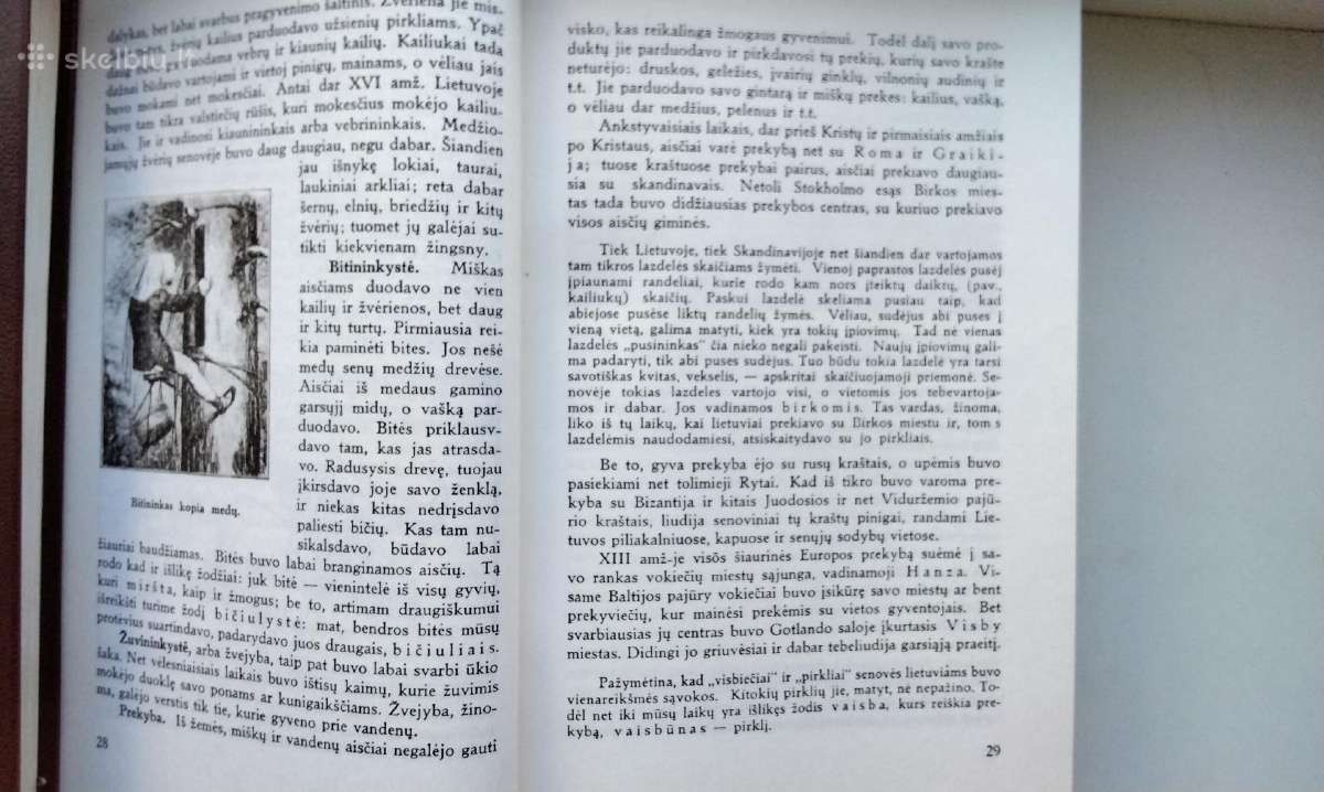 A. Šapoka. Lietuvos istorija. 1990 m. leid. - nuotraukos Nr. 11