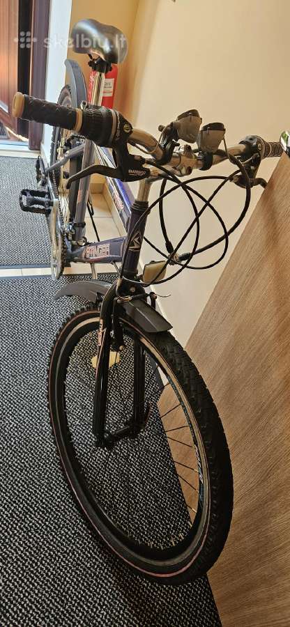 Dviratis Stinger 3000 - nuotraukos Nr. 3