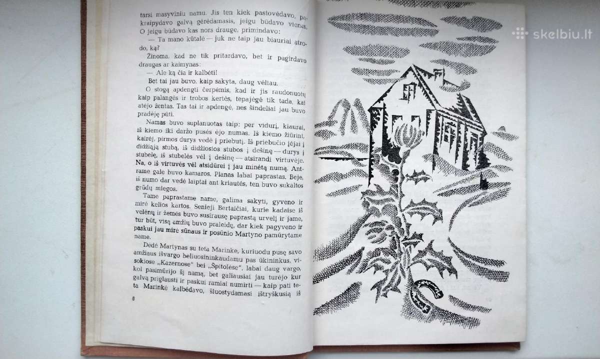 I. Simonaitytė. Gretimos istorijėlės. 1968 m. l - nuotraukos Nr. 4