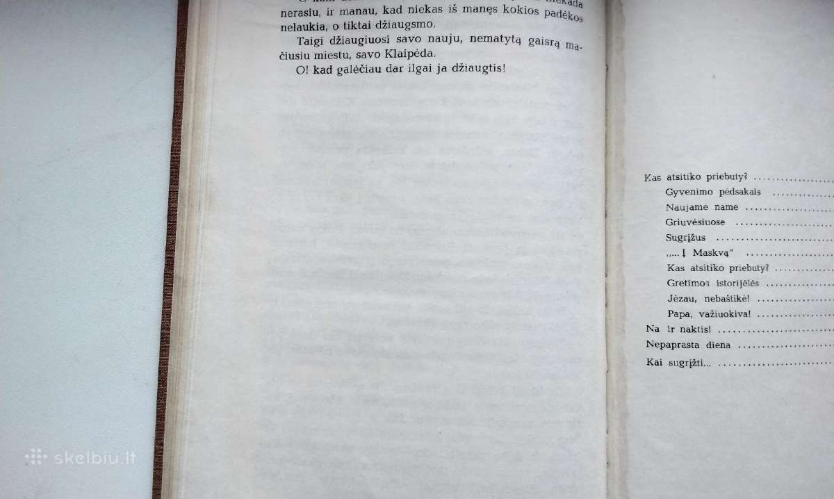 I. Simonaitytė. Gretimos istorijėlės. 1968 m. l - nuotraukos Nr. 11
