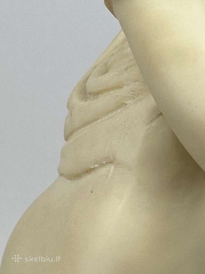 Fgm Italy aphrodite kallipygos reprodukcija - nuotraukos Nr. 11