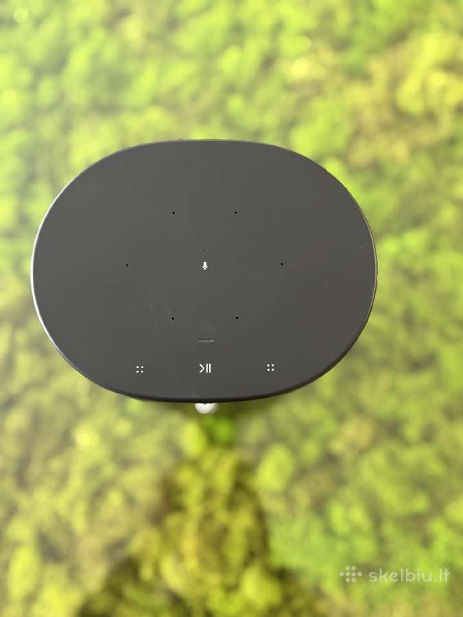 Sonos Move - nuotraukos Nr. 11