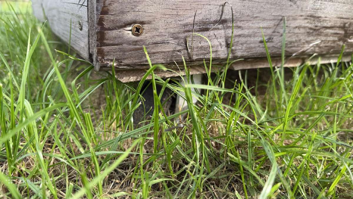 Apšiltinta/ Impregnuota rankų darbo nauja būda - nuotraukos Nr. 6