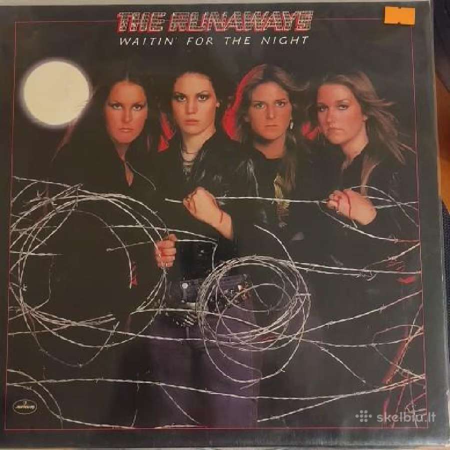Vinilinės Plokštelės - nuotraukos Nr. 10