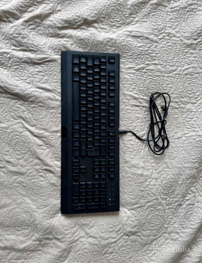 Razer Cynosa Lite - nuotraukos Nr. 2