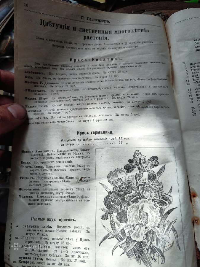Carinis katalogas trūksta puslapiu - nuotraukos Nr. 4