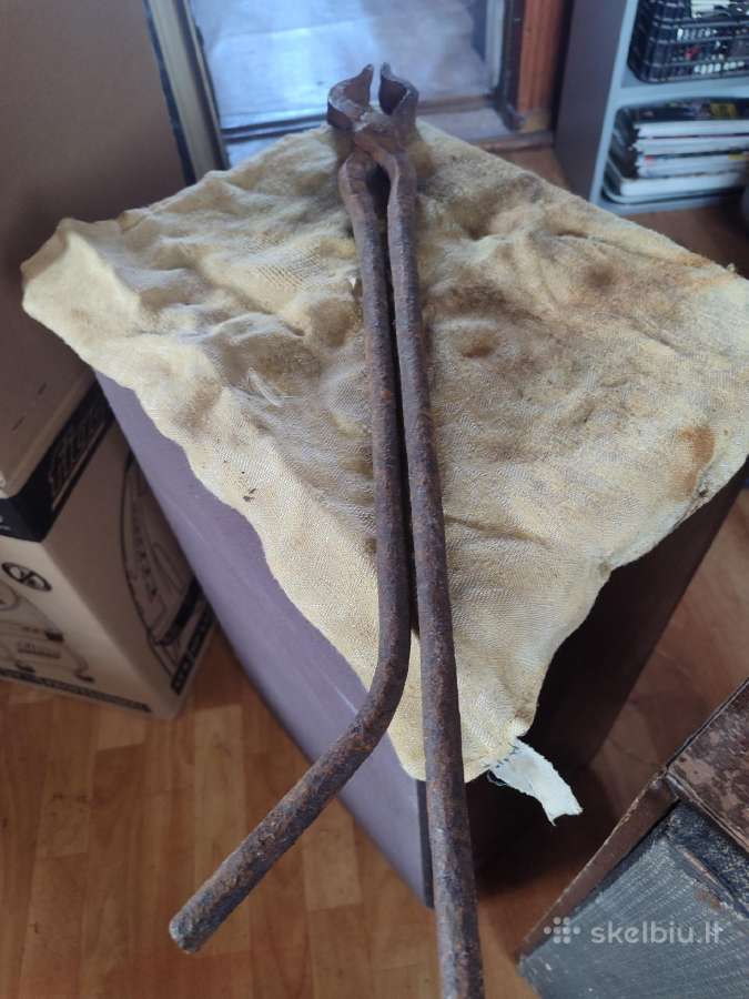 Kalvio replės - nuotraukos Nr. 6