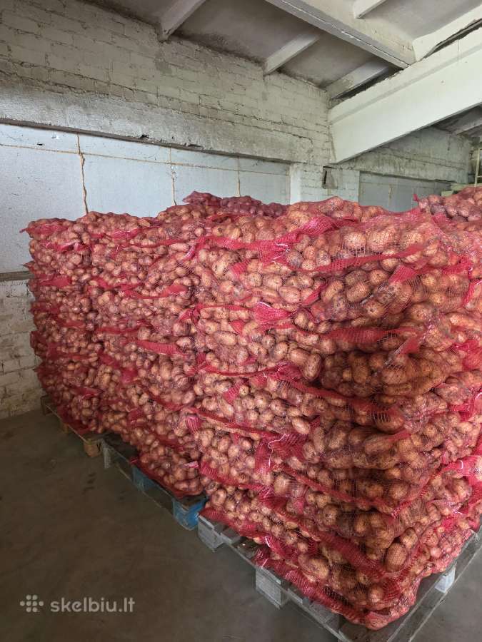 Bulvės didmena nuo 0,25 €/kg Pristatymas visoje - nuotraukos Nr. 3