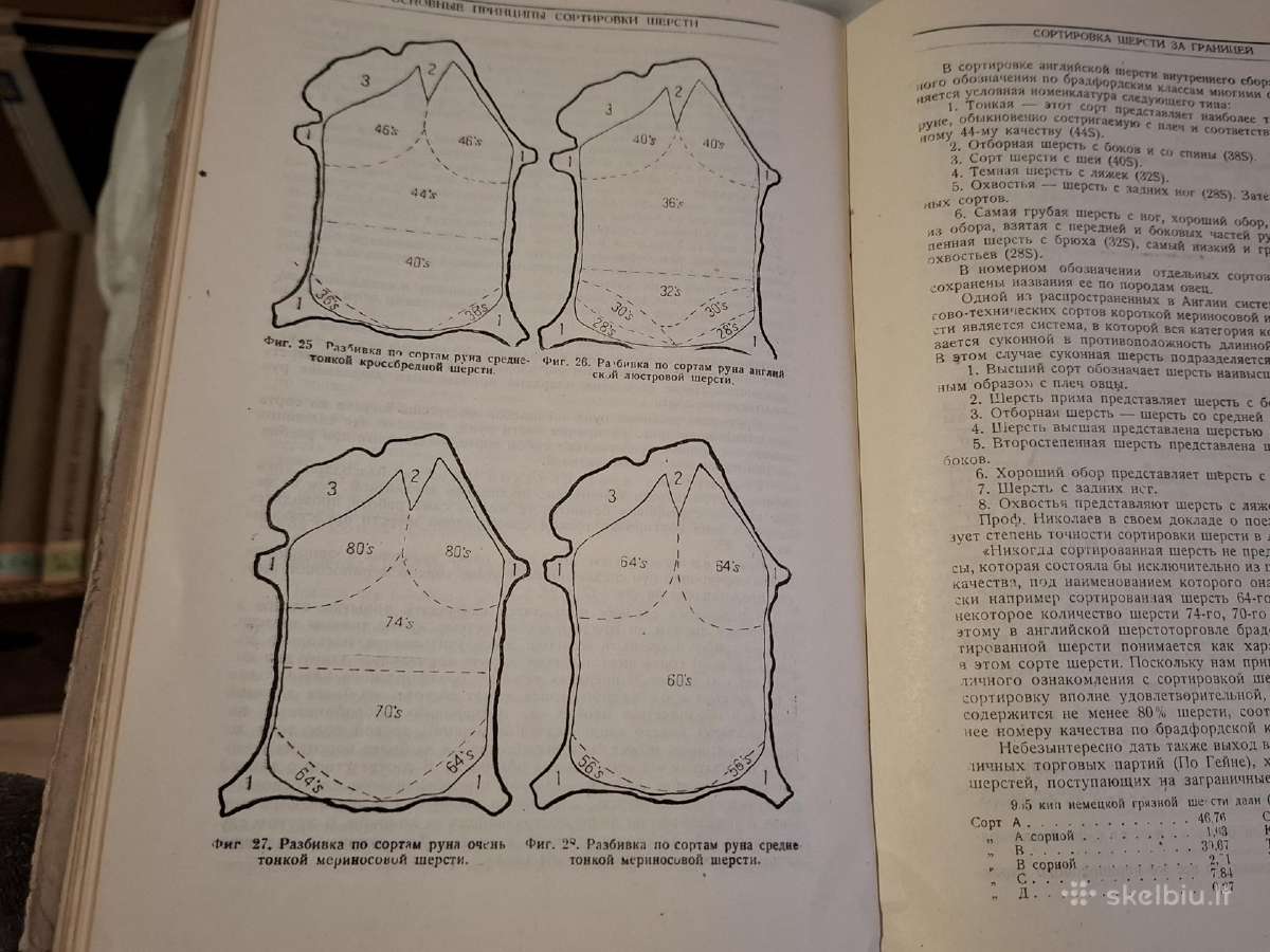 Pirminis vilnos apdorojimas - nuotraukos Nr. 10