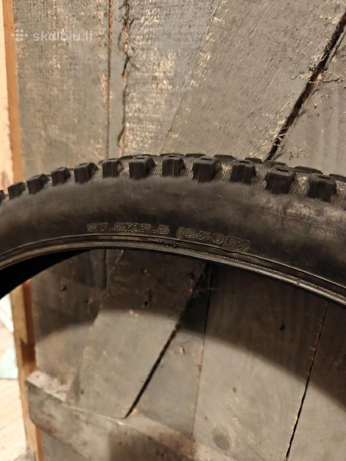 Maxxis Aggressor - nuotraukos Nr. 5