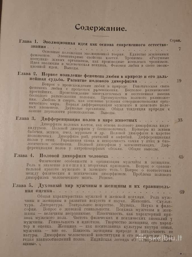 Meilė, visuomenė ir kultūra - nuotraukos Nr. 8