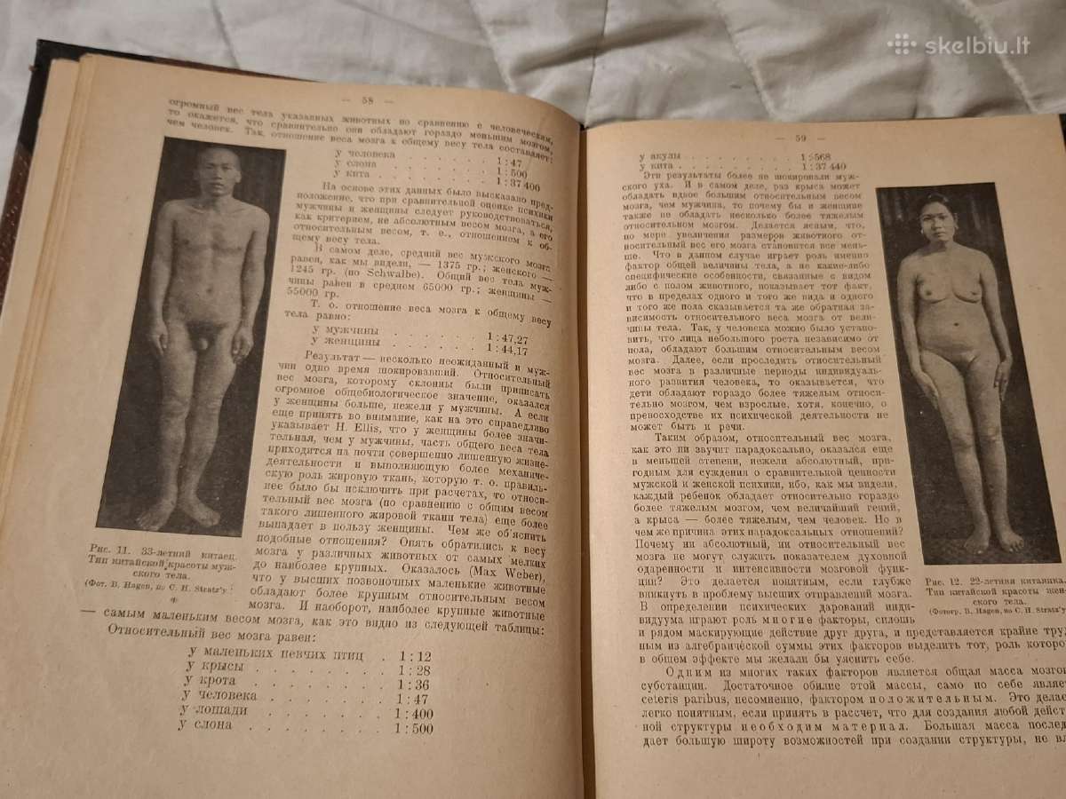 Meilė, visuomenė ir kultūra - nuotraukos Nr. 13