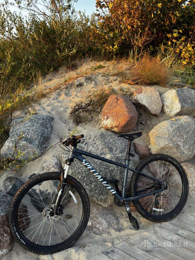 Specialized dviratis - nuotraukos Nr. 3