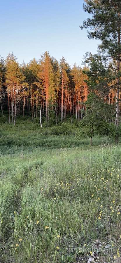 Ūkinės paskirties sklypas - nuotraukos Nr. 2
