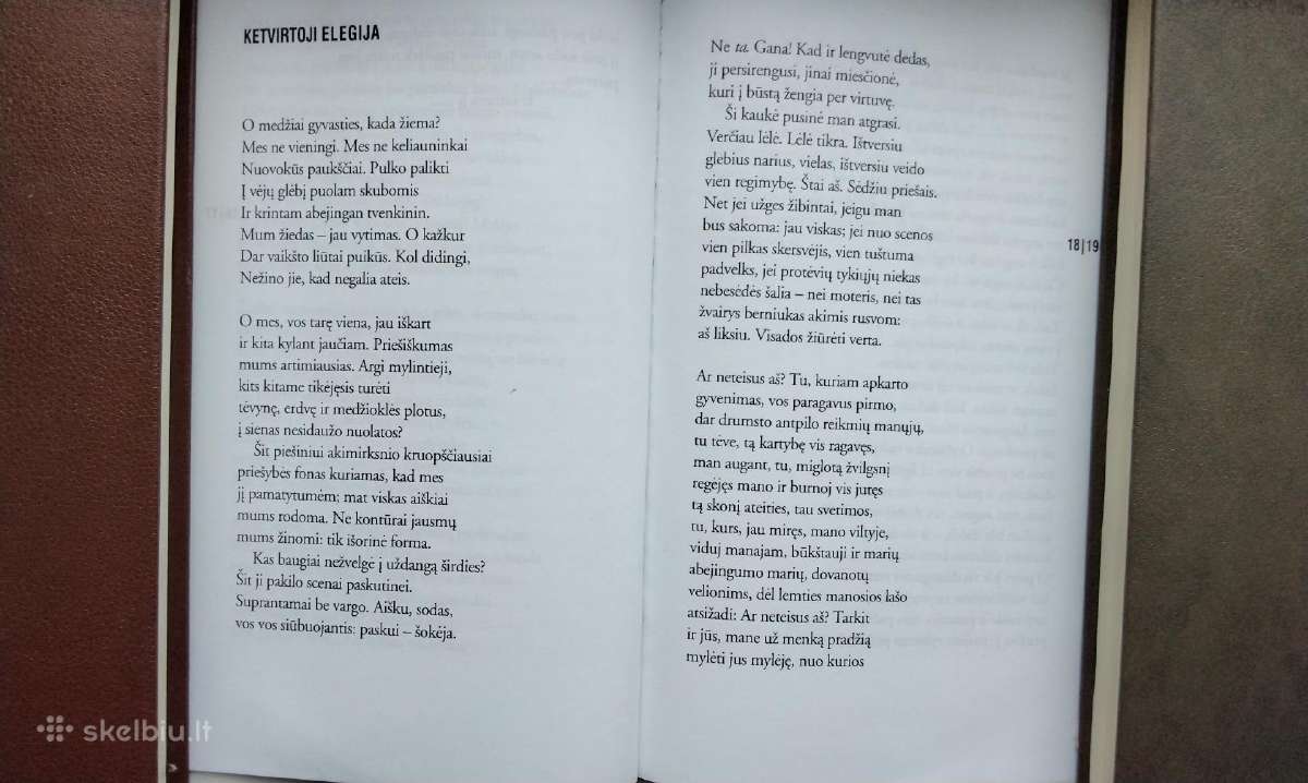 Rilke. Duino elegijos. Maltės Lauridso Brigės užra - nuotraukos Nr. 5