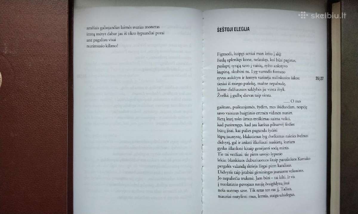 Rilke. Duino elegijos. Maltės Lauridso Brigės užra - nuotraukos Nr. 6