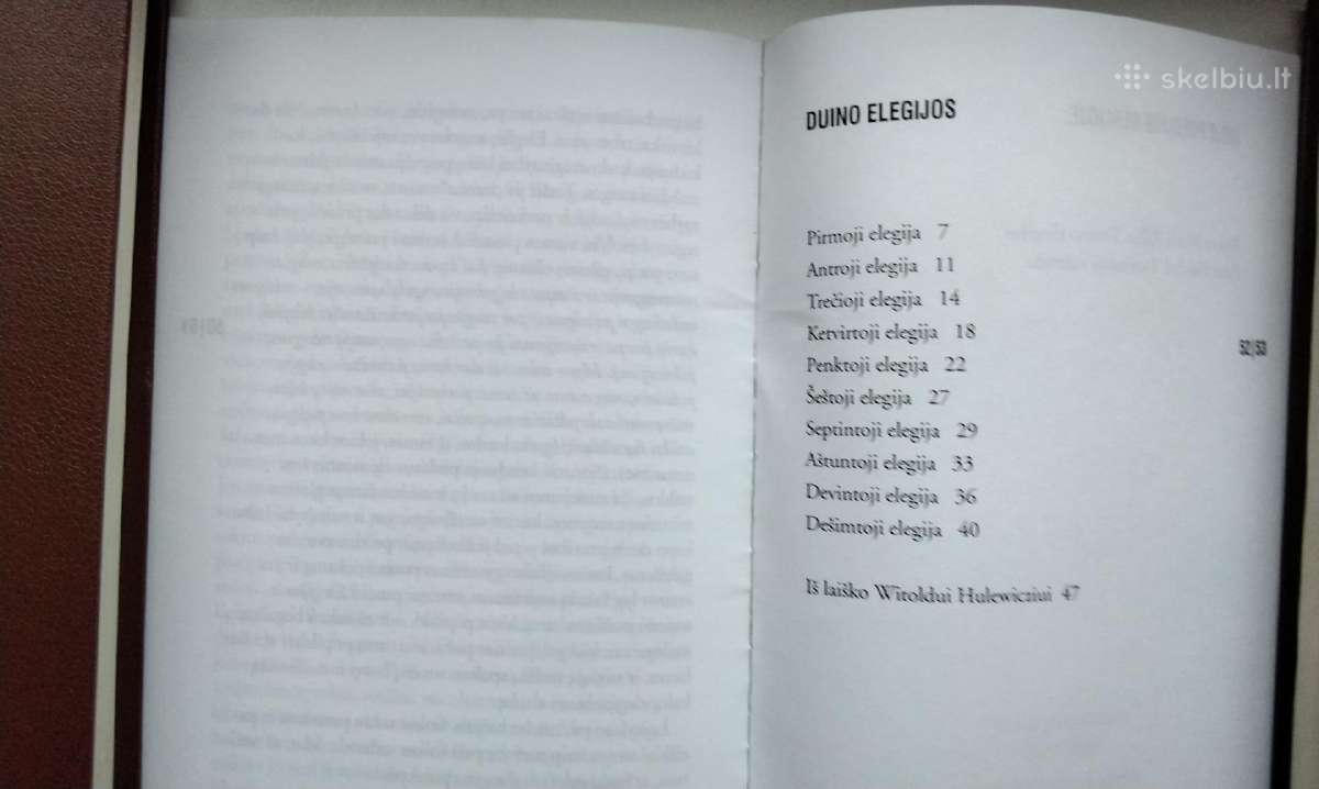 Rilke. Duino elegijos. Maltės Lauridso Brigės užra - nuotraukos Nr. 7
