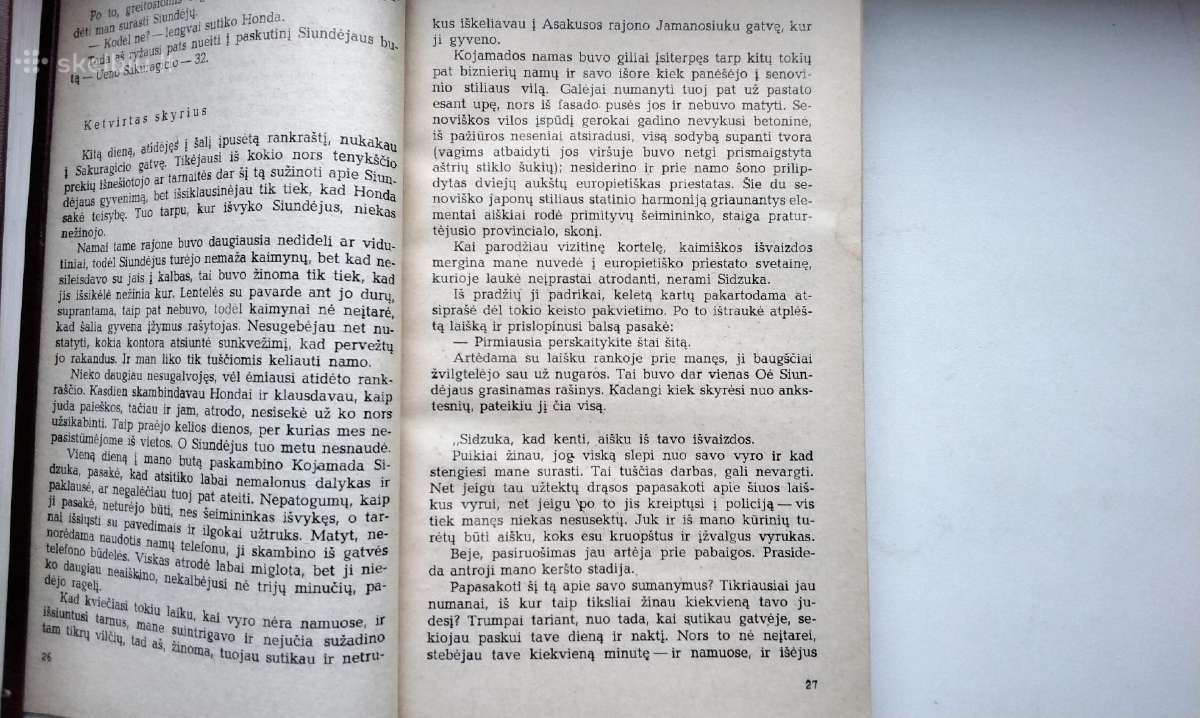 Pabaisa tamsoje. Baimės ministerija. Antikvaro pas - nuotraukos Nr. 6