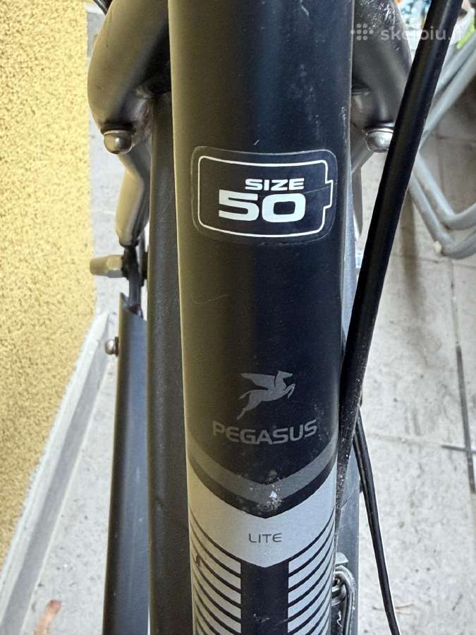 Pegasus dviratis - nuotraukos Nr. 2
