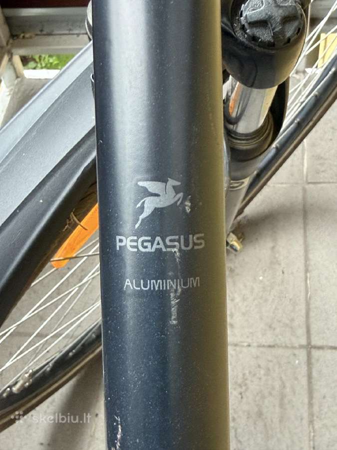 Pegasus dviratis - nuotraukos Nr. 3