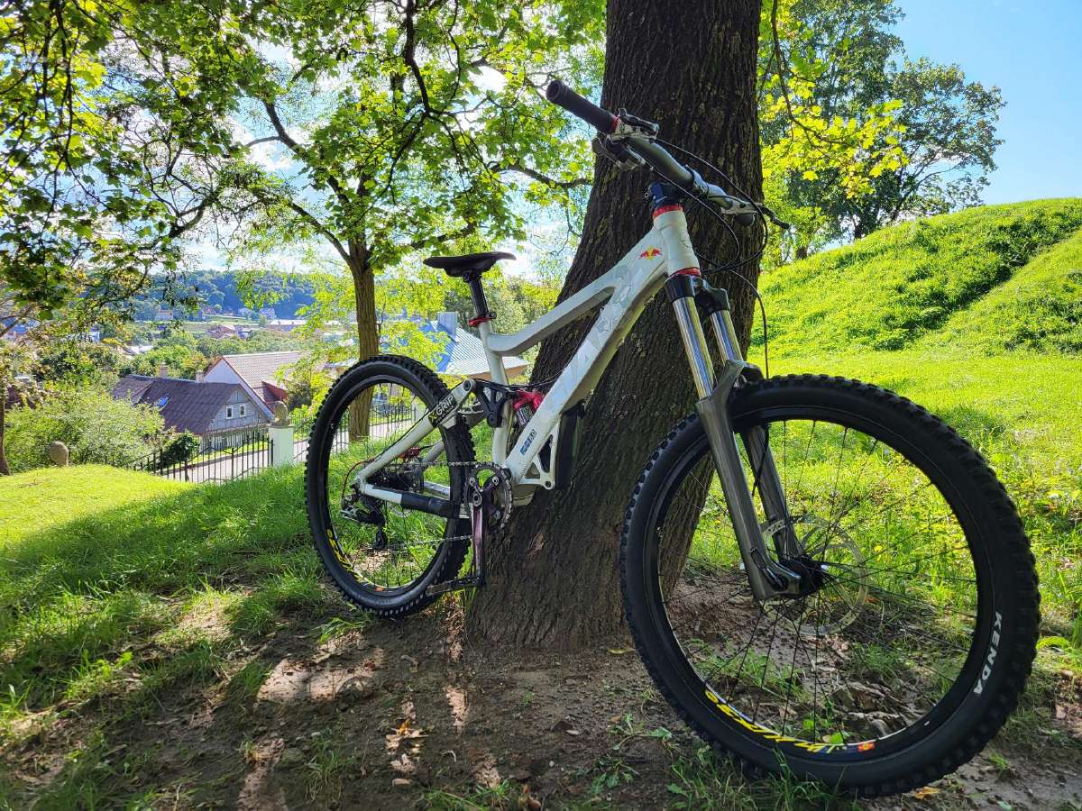 Giant Maestro Downhill Dviratis - nuotraukos Nr. 7