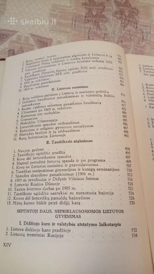 Lietuvos istorija - nuotraukos Nr. 13
