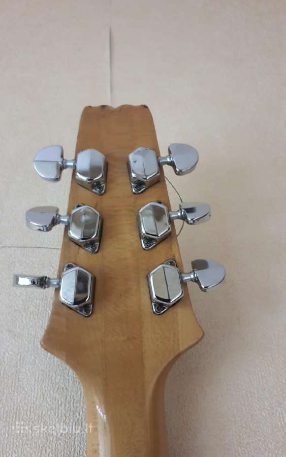 Aria Pro II Cardinal Series CS-250 - nuotraukos Nr. 2