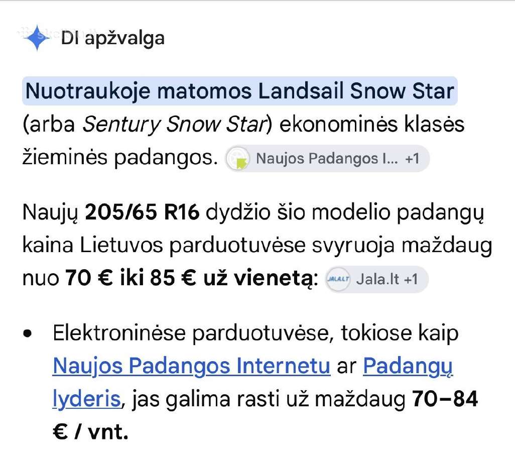 Padangos žieminės - nuotraukos Nr. 5