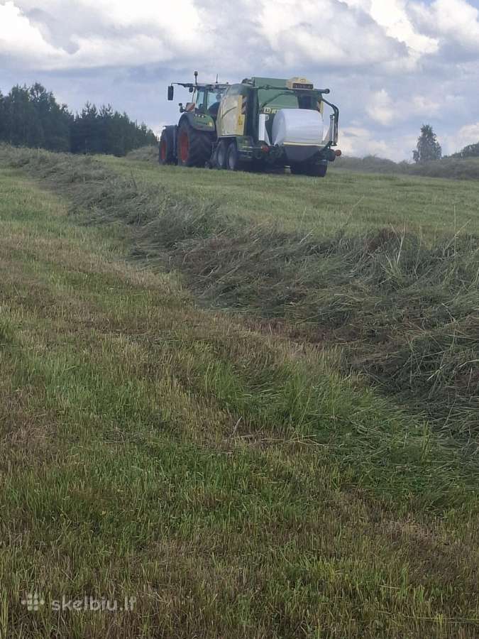 Išsinuomosiu žemės ūkio paskirties žemės - nuotraukos Nr. 4