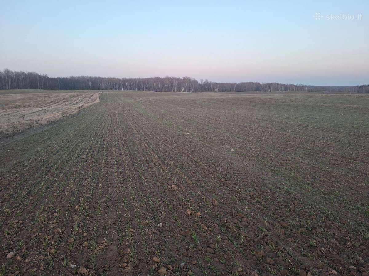 Išsinuomosiu žemės ūkio paskirties žemės - nuotraukos Nr. 3