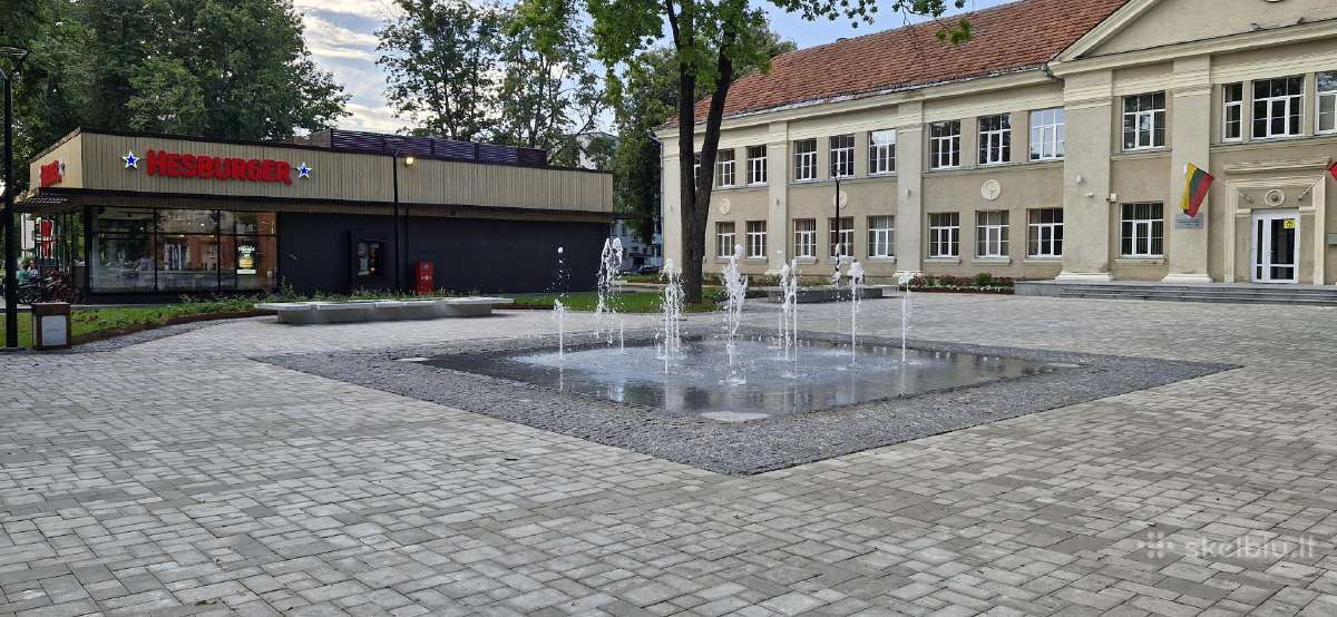 Oksanos apartamentai centre+privatus įėjimas+ac - nuotraukos Nr. 22