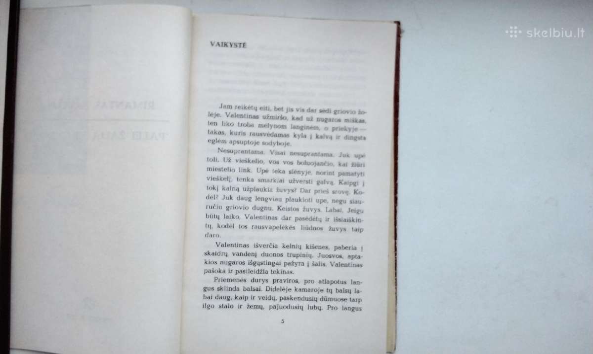 R. Šavelis. Palei žalią krantą (1970), Amžinoji šv - nuotraukos Nr. 4