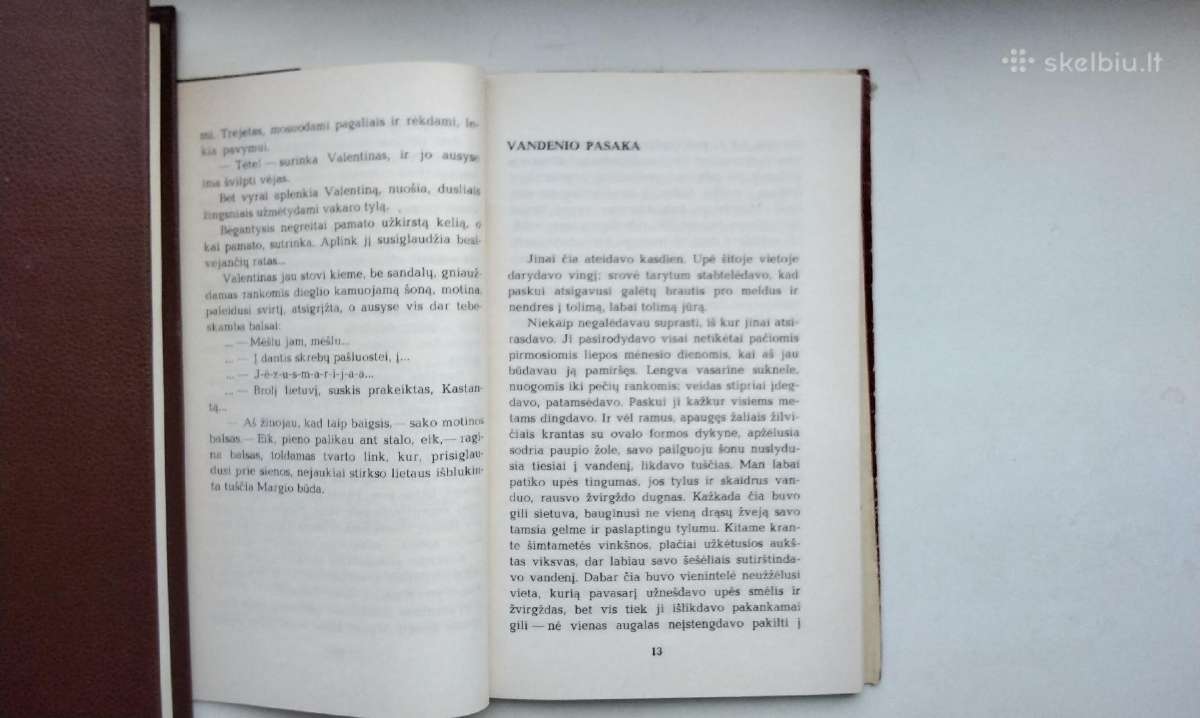 R. Šavelis. Palei žalią krantą (1970), Amžinoji šv - nuotraukos Nr. 5