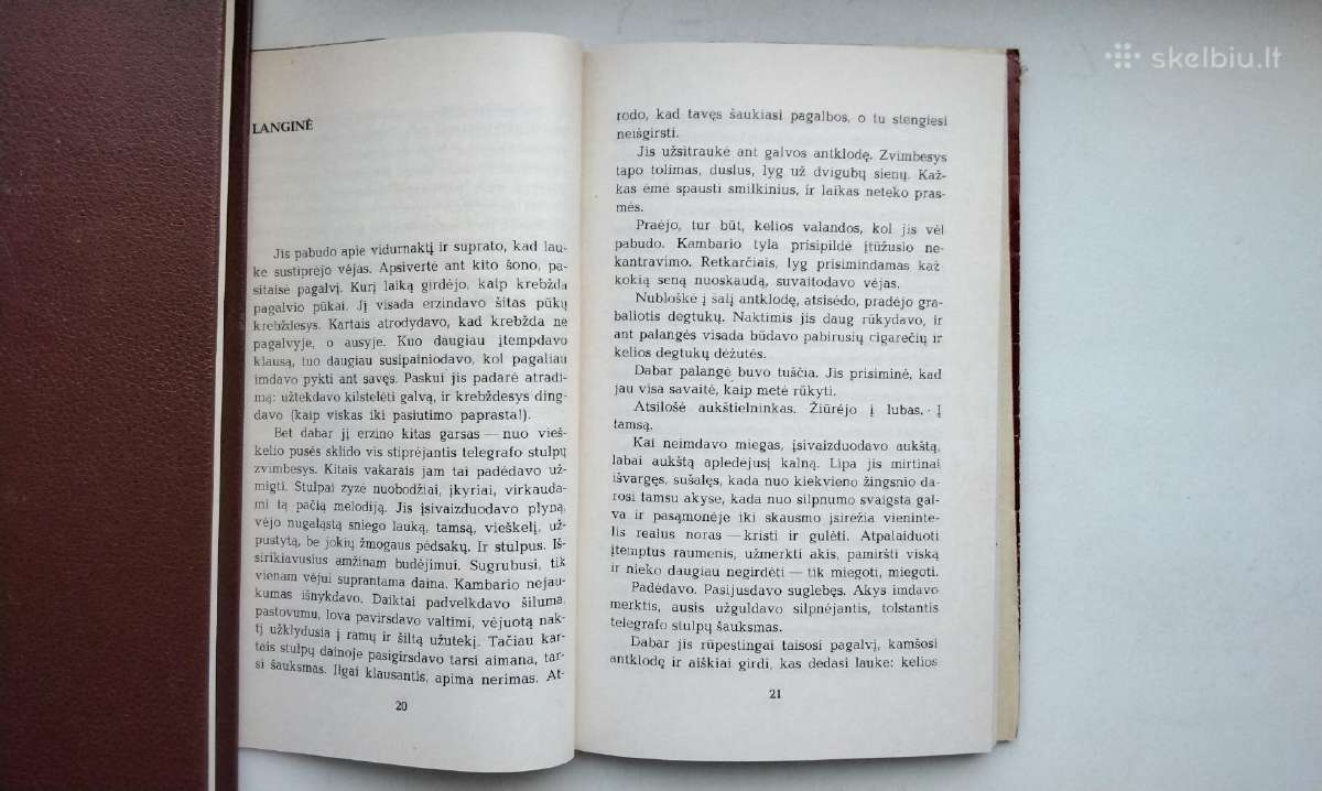 R. Šavelis. Palei žalią krantą (1970), Amžinoji šv - nuotraukos Nr. 6
