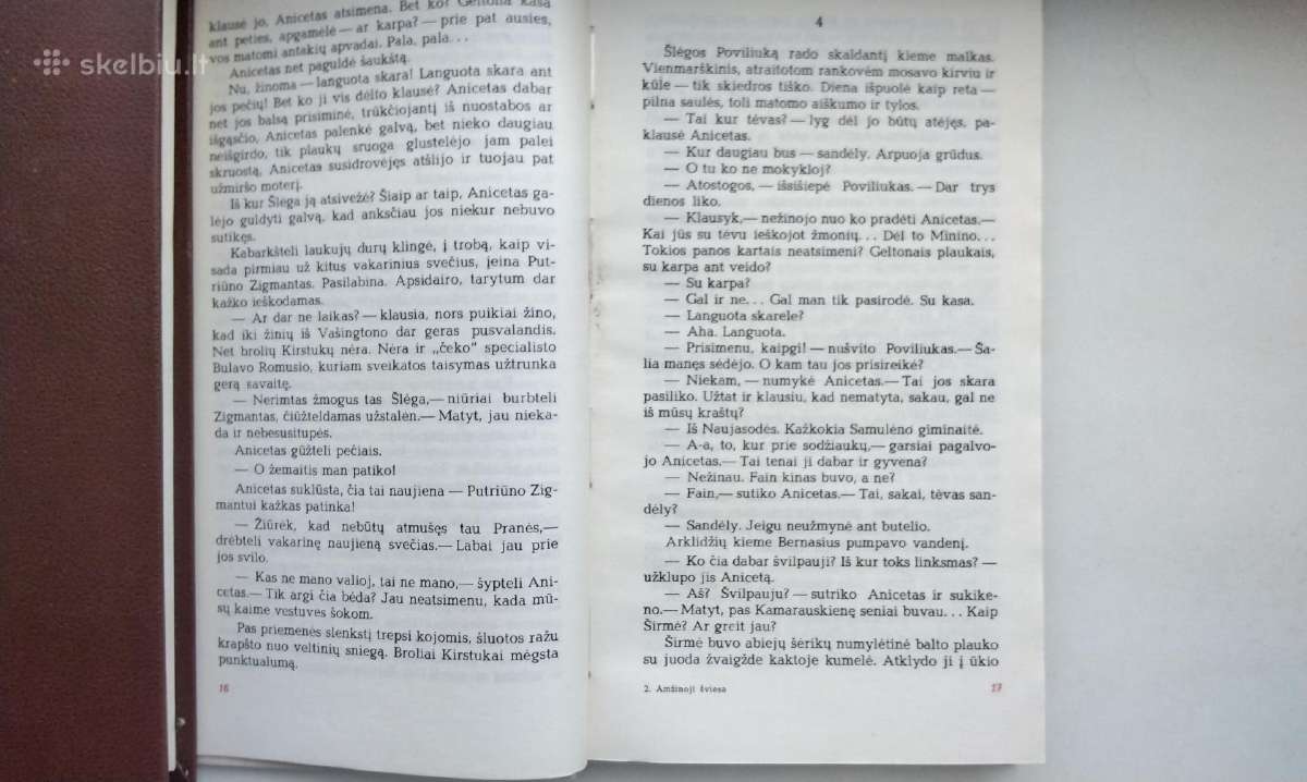 R. Šavelis. Palei žalią krantą (1970), Amžinoji šv - nuotraukos Nr. 12