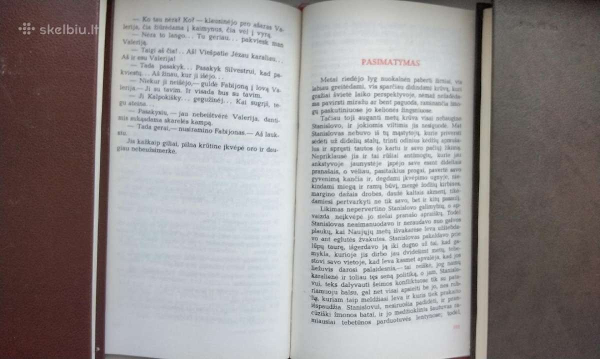 R. Šavelis. Palei žalią krantą (1970), Amžinoji šv - nuotraukos Nr. 13