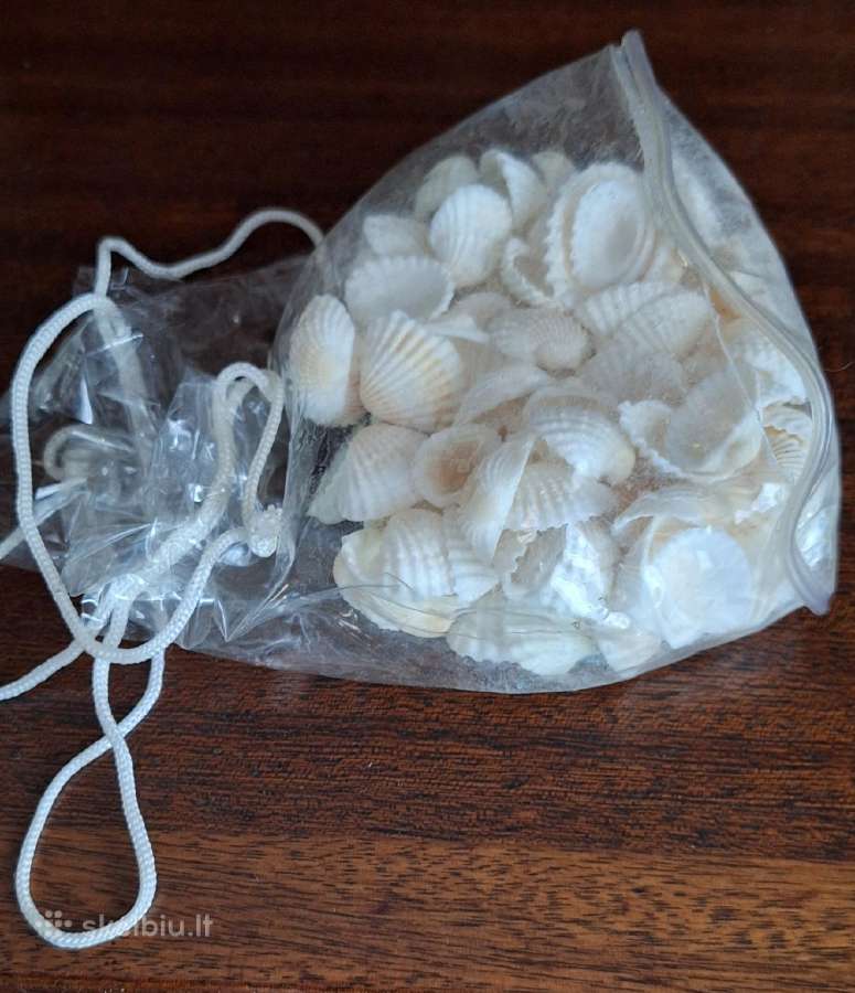 Dekoravimo priemonės akmenėliai, kriauklelės - nuotraukos Nr. 4