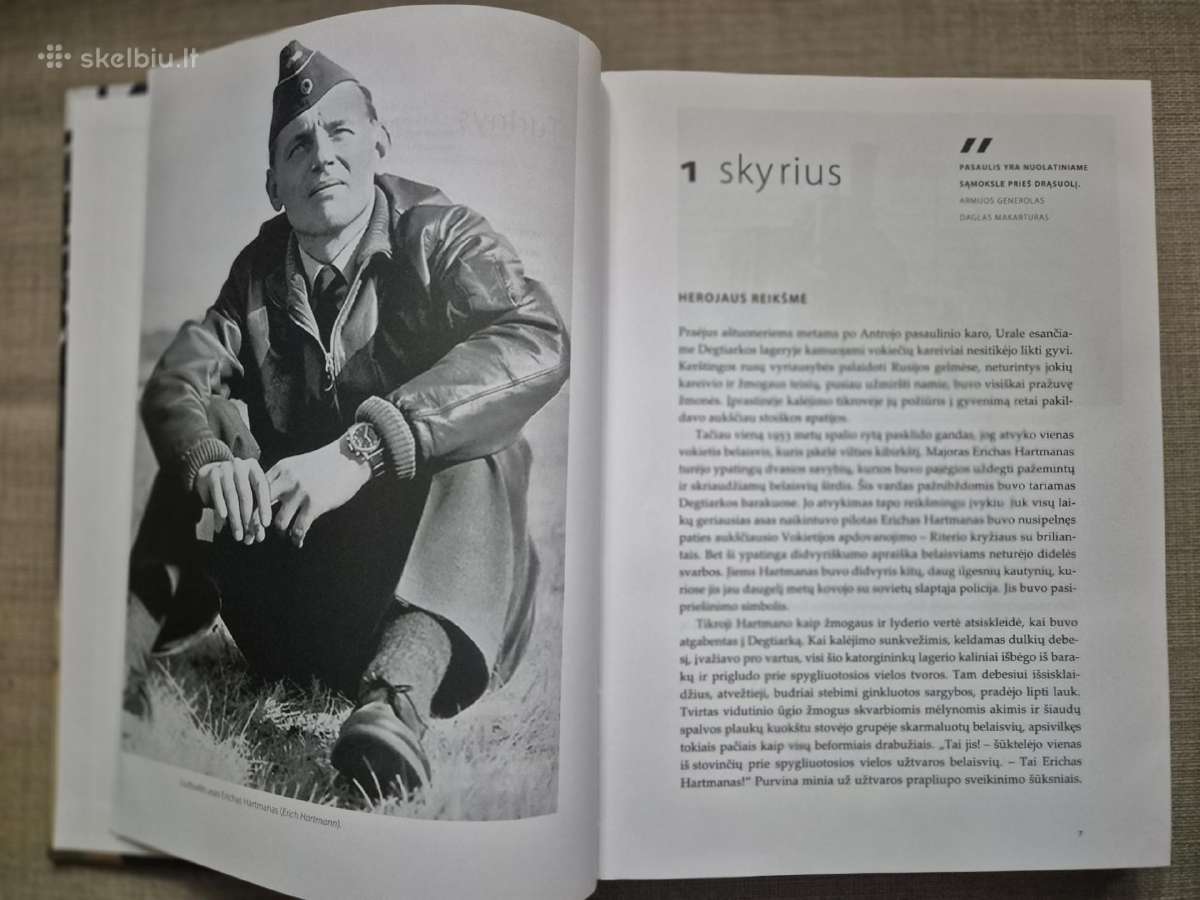 Šviesiaplaukis Vokietijos riteris - nuotraukos Nr. 4