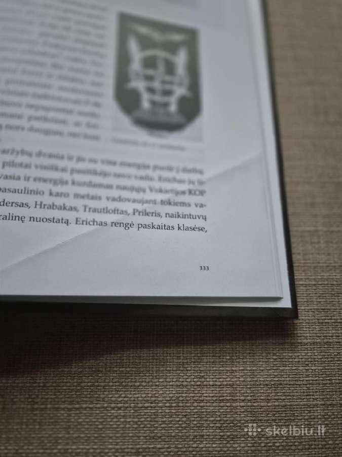 Šviesiaplaukis Vokietijos riteris - nuotraukos Nr. 18