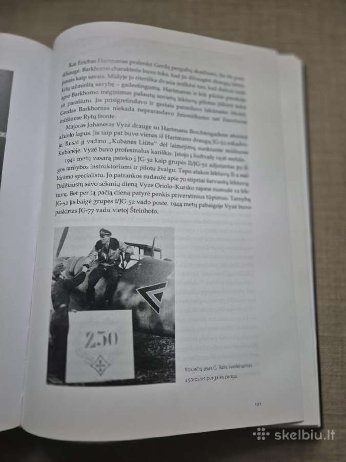 Šviesiaplaukis Vokietijos riteris - nuotraukos Nr. 7