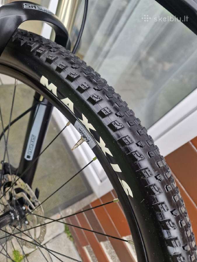 White 29er - nuotraukos Nr. 2