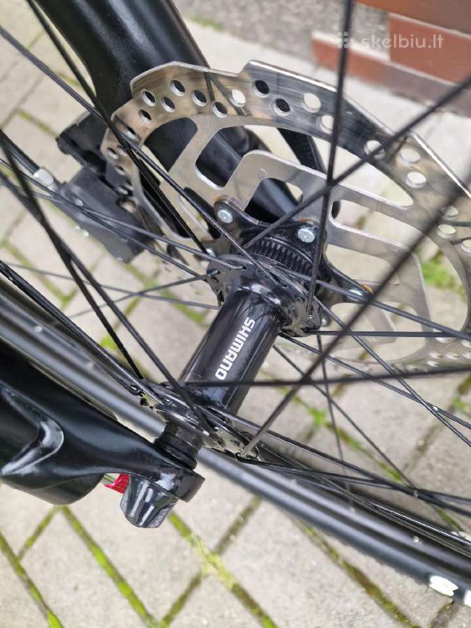 White 29er - nuotraukos Nr. 4