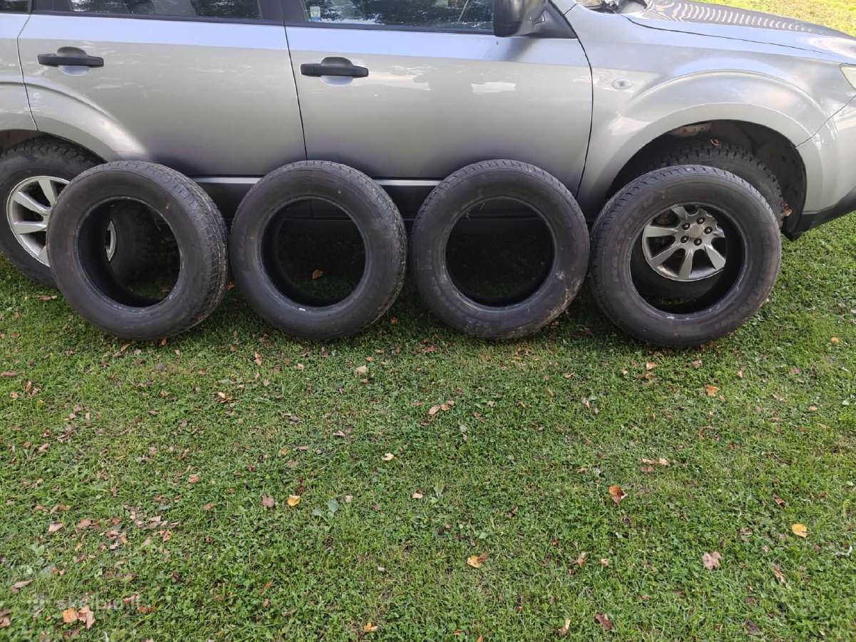 Maxtrek Maximus M1 M/s 215/65 R16 98h - nuotraukos Nr. 5