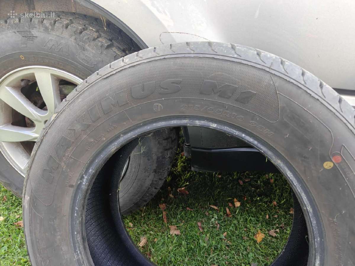 Maxtrek Maximus M1 M/s 215/65 R16 98h - nuotraukos Nr. 3