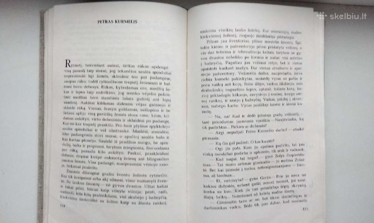 Žemaitė. Prie užvertos langinės. 1971 m. leid. - nuotraukos Nr. 6