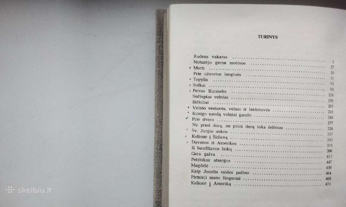 Žemaitė. Prie užvertos langinės. 1971 m. leid. - nuotraukos Nr. 7