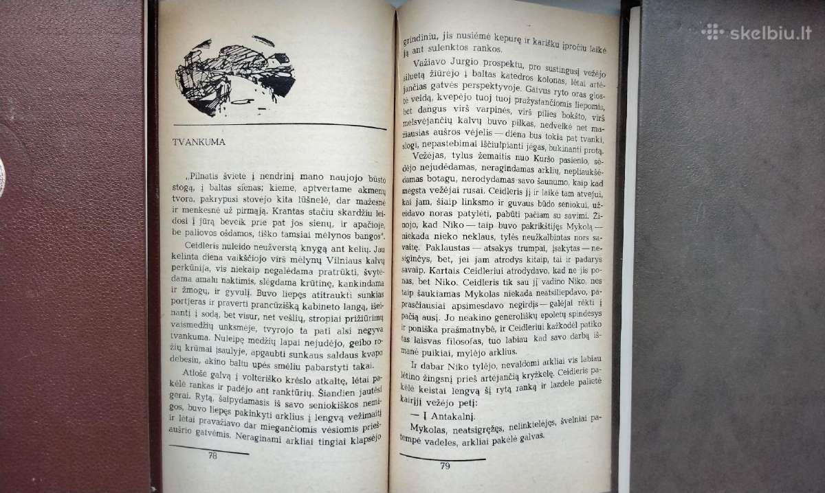 A. Ramonas. Šiaurės vėjas. Lapkričio saulė - nuotraukos Nr. 12