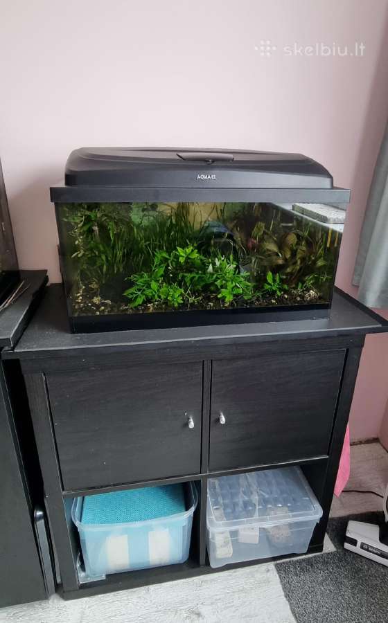 Akvariumas 54 l su spintele - nuotraukos Nr. 2