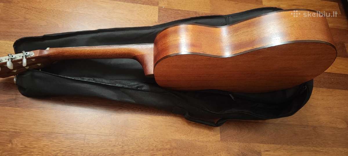 Gitara - nuotraukos Nr. 2
