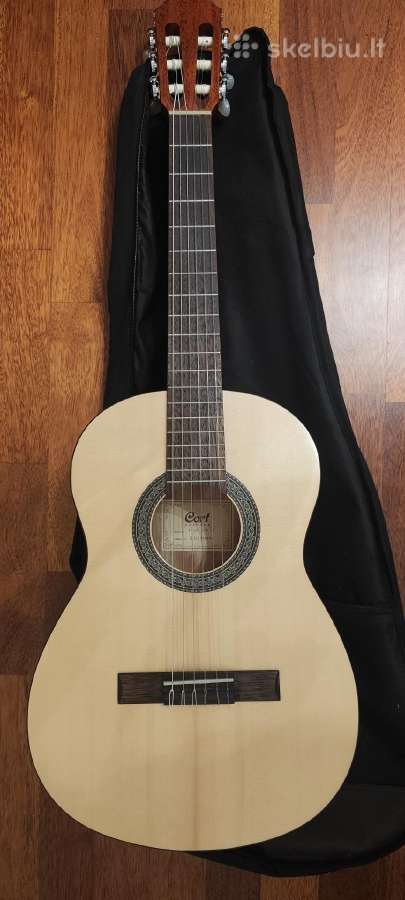 Gitara - nuotraukos Nr. 3